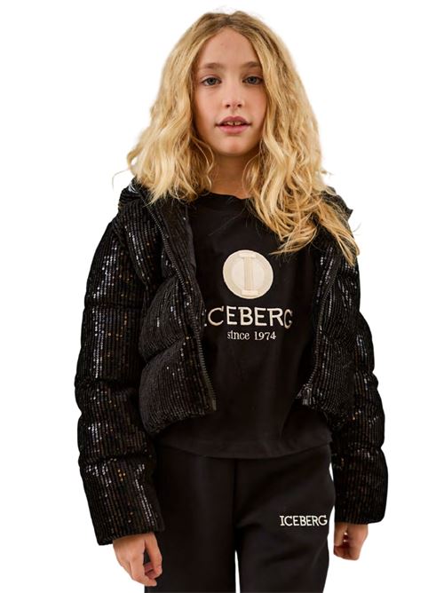  ICEBERG | GBICE4353JNE