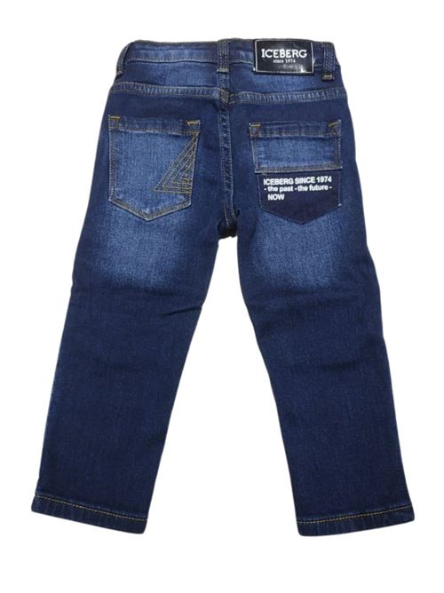  ICEBERG | PTICE4312BJE