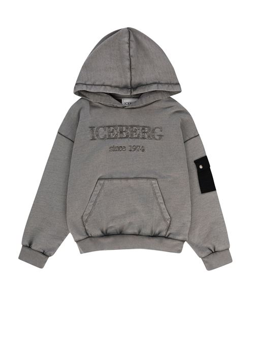  ICEBERG | MFICE6313JGR