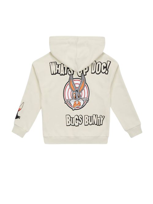  ICEBERG | MFICE4100JLA