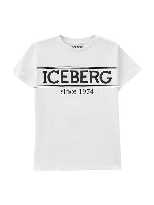  ICEBERG | TSICE4111JBI