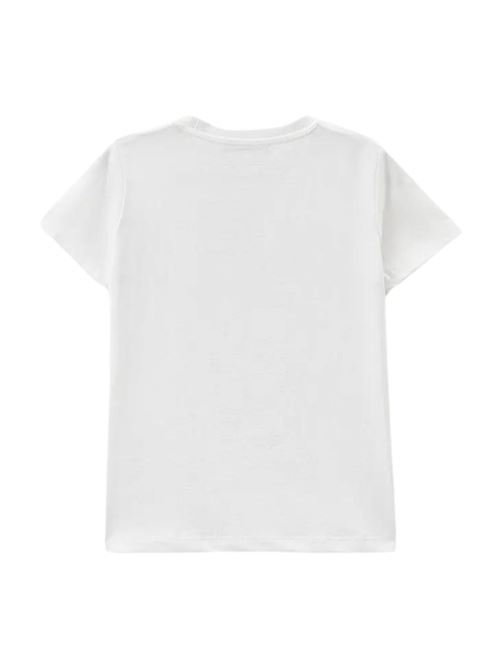  ICEBERG | TSICE4111JBI