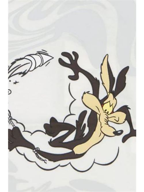  ICEBERG | TSICE4119BBI