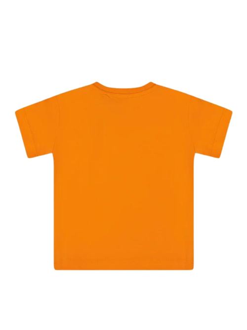  ICEBERG | TSICE4125BAR