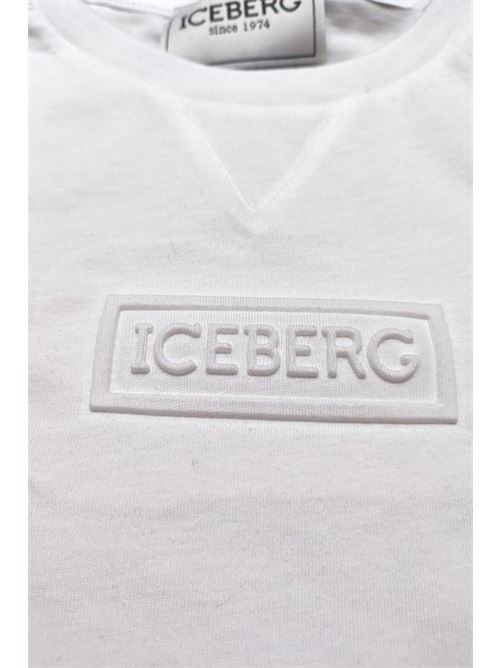 ICEBERG | TSICE3107JBI
