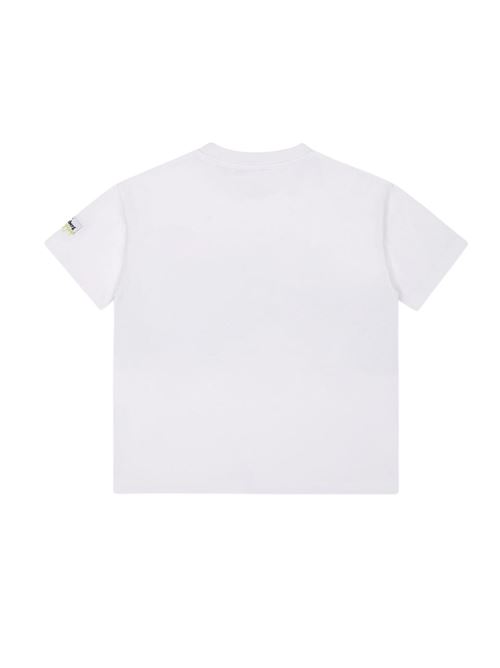  ICEBERG | TSICE6110BBI