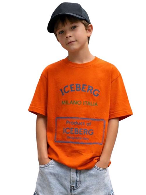  ICEBERG | TSICE6118JAR