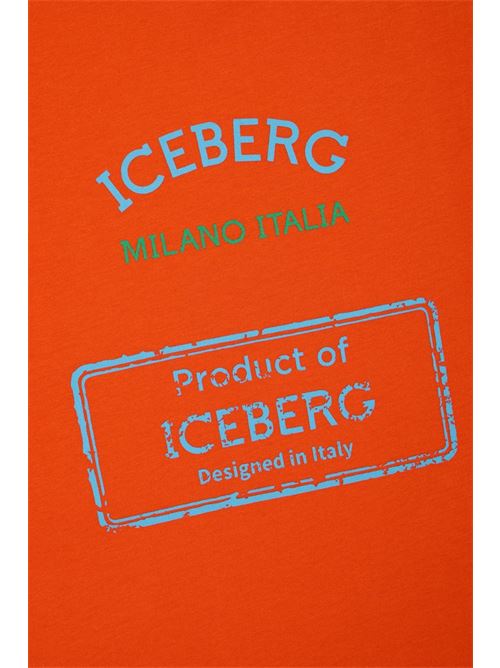  ICEBERG | TSICE6118JAR